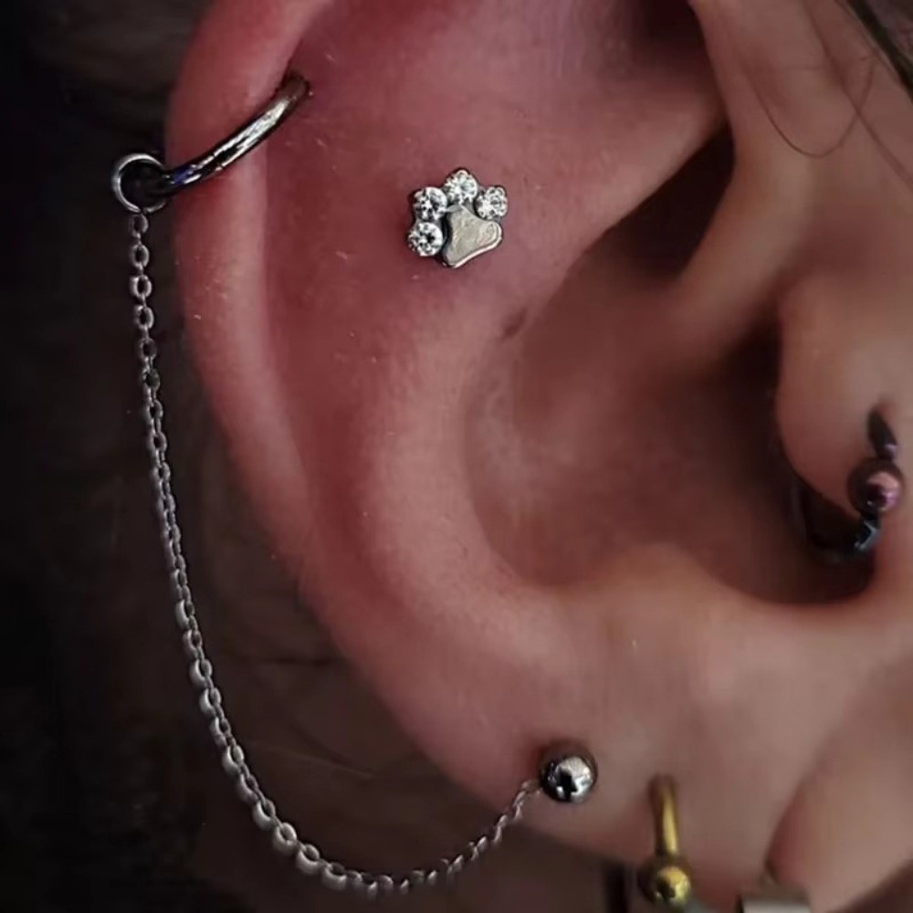 Cadena de titanio para nariz,  - Body Jewelry Nose reseña y precio