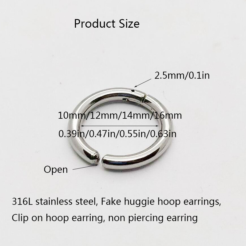2/6 Uds. Pendientes de aro Hug - Body Jewelry Tunnels reseña y precio