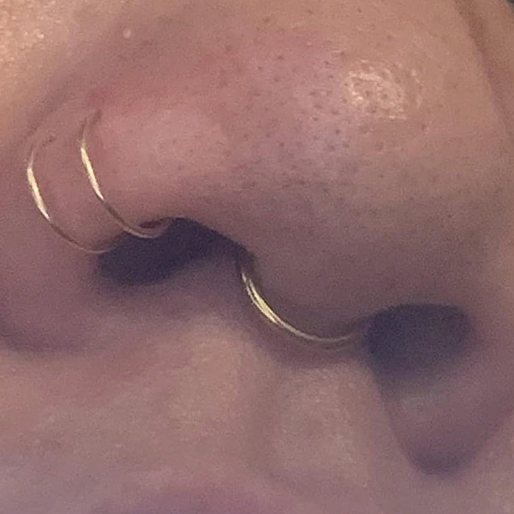 Anillos de nariz falsos, septu - Body Jewelry Nose reseña y precio
